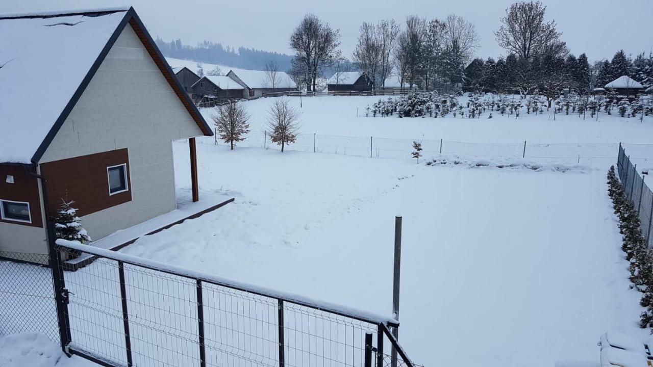 Jula - Apartamenty W Kudowie-Zdroj Kudowa-Zdroj Dış mekan fotoğraf
